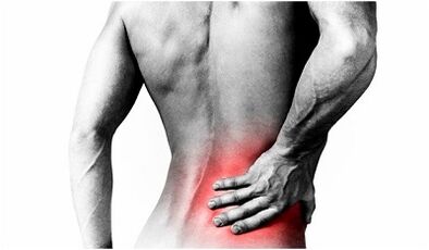 Causes of back pain in the lower back