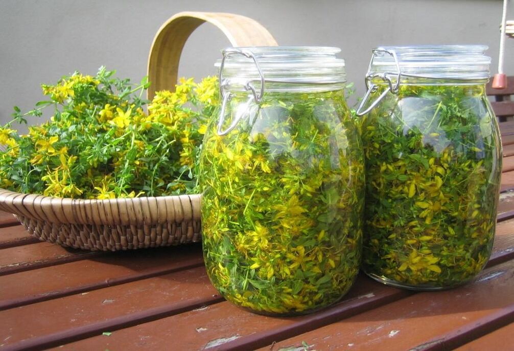 infusion of St. John's wort to treat cervical necrosis