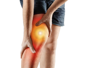 diseases of the joints, destruction of cartilage and inflammation