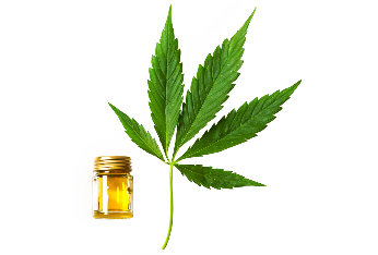 the hemp oil, the composition of hash oil